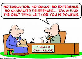 BLOG POST - Professional Politicians