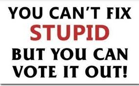 Blog Post - Can't Fix Stupid