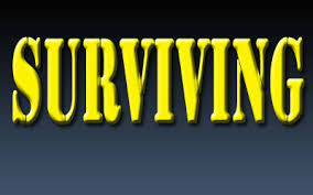 Blog Post - Surviving