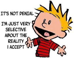 Blog Post A1 - Denial