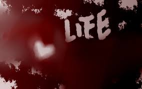 blog Post 1 - Life 1