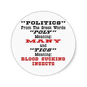 Blog Post 1 - Ploy Ticks