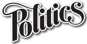 Blog Post 1 - Pollitics