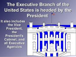 Blog Post 2 - Executive