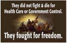 Blog Post 1 - Fight for Freedom