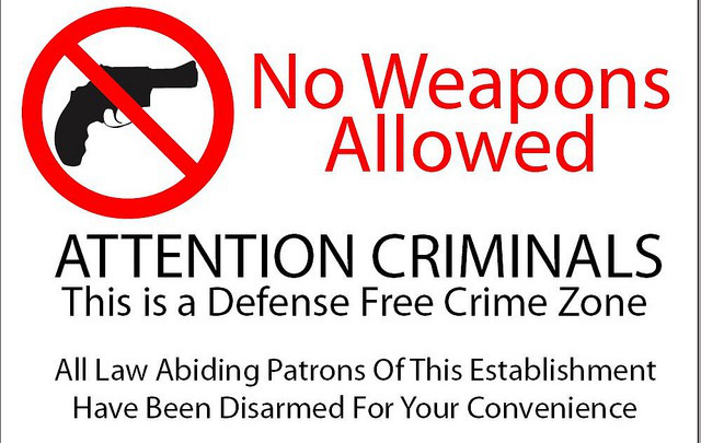 BLOG POST 5 - GUN CONTROL