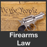 BLOG POST 5 - Gun Laws