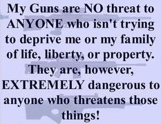 BLOG POST 5 - My Guns