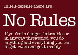 BLOG POST 4 - Self Defense Rules