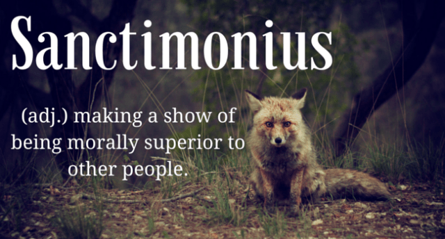 blog-post-3-sanctimonious