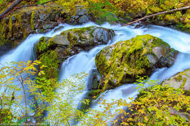 blog-post-3-three-streams