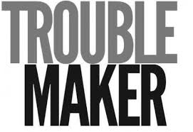 BLOG POST 1 - TROUBLER