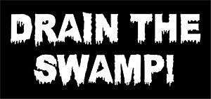 BLOG POST 4 - Drain the Swamp