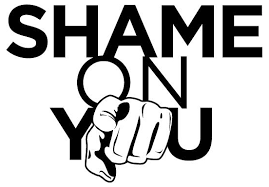 BLOG POST 3 - Shame