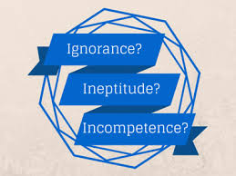 BLOG POST 1 - INeptitude