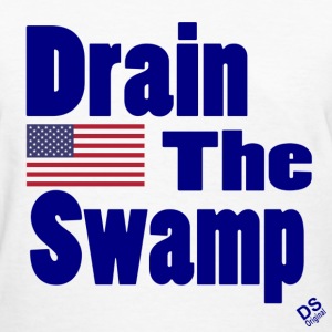 BLOG POST 1 - Drain the Swamp