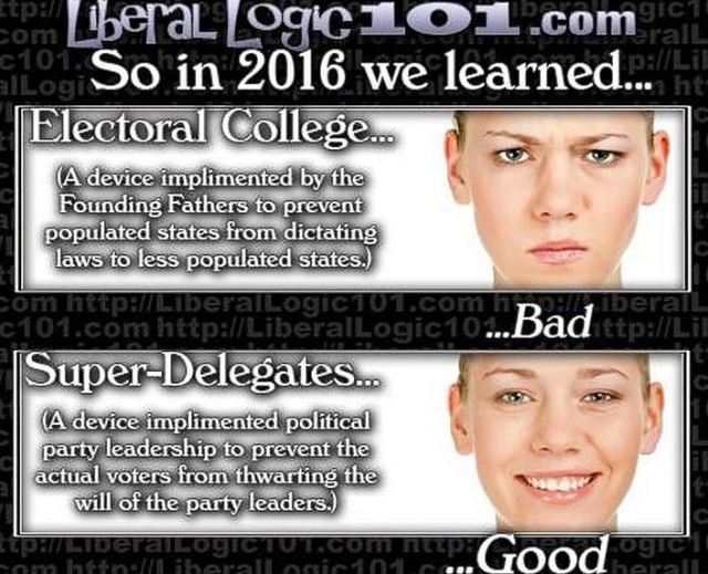BLOG POST 3 - Electoral College View of Leftis
