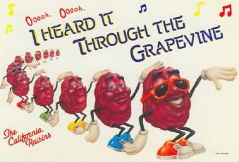 BLOG POST 1 - Heard it Through the Grapevine