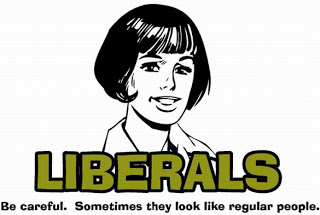 BLOG POST 2 - Liberals