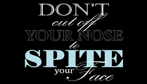 BLOG POST 8 - Nose and Face